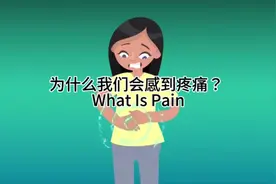 #英语 #十万个为什么 为什么我们会感到疼痛？ What Is Pain视频封面