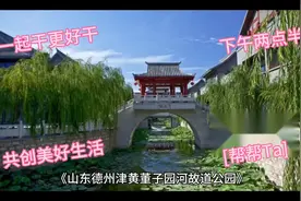 董子园风景区国家AAAA级景区，位于德州经济开发区东部视频封面