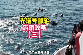 海洋光谱号邮轮游玩攻略 这一期带你们上熊本岛追海豚视频封面