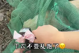 挑战流浪100天寻找家园 第18天#野外生存 #户外 #流浪视频封面