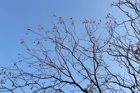 既然你已知，我与万物本为一体，我是万物的总根源，我心即是世界视频封面