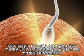 各种短视频平台上充斥着先父遗传的谣言，很多人被这个谣言所迷惑视频封面