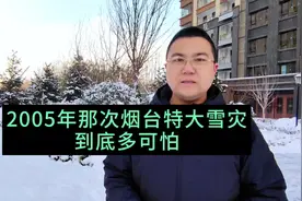 2005年那次烟台特大雪灾，到底对烟台人影响多大，真实数据在此视频封面