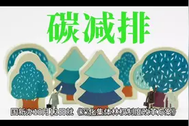 国家林草局：明确支持林业碳汇项目开发为CCER并参与碳交易市场视频封面