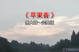 六星街里还传来，巴扬琴声视频封面