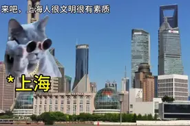 厉害了，当代网友的嘴跟淬了毒一样的#dou上热门 #各省破防瞬间 #万万没想到 #猫meme #搞笑视频 @DOU+小助手 @抖音热点宝视频封面