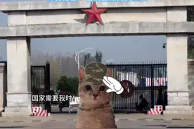 是谁让保家卫国的人民子弟兵流血又流泪？#猫meme视频封面