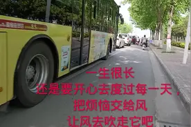 卖破烂卖了16块#日常生活视频封面
