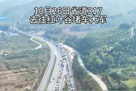 今日去往济南红叶谷的路现堵车大军，省道317足足堵了十几公里 #自驾游 #堵车#周末去哪玩视频封面