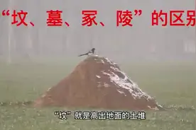 “坟、墓、冢、陵”的区别#历史知多少 #墓穴视频封面