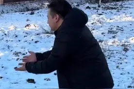 冬天❄️抱着它睡觉一定很暖吧#老虎#动物#动物世界视频封面