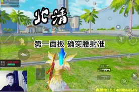 北清说的面板问题是真的 #和平精英 #和平精英教学 #第一面板