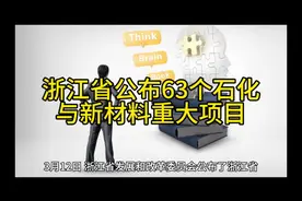 浙江省公布63个石化与新材料重大项目#石化 #石油化工 #石化投资视频封面