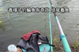 #原来钓鱼才是抖音运动顶流 #香樟子钓鱼 钓位找樟树或者构果树下挂钩做钓视频封面