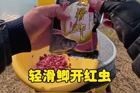轻滑鲫开红虫#解锁秋冬钓鱼爆护的秘密 #冬钓鲫鱼 #爆护饵料视频封面