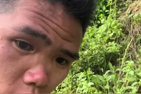 一年一季的独脚金它来了，不懂的人把它当草，懂得人都当宝喔！也很很多种叫法，你们在自己的家乡有见过这个东西吗#独脚金的功效与作用 #你的家乡有这种植物吗视频封面