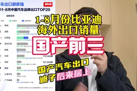24年1~8月份，国产汽车品牌海外出口排名，比亚迪拿下第三名视频封面