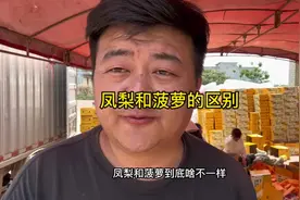 其实凤梨和菠萝属于同一个科目视频封面