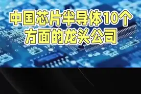 中国芯片半导体10个方面的龙头公司 #科技创新 #科技 #半导体 #制造业 #高科技视频封面