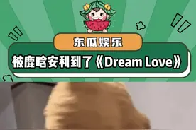 不愧是鹿晗严选啊！我还能单曲循环亿遍！#谁懂鹿晗直播压轴单曲的含金量视频封面