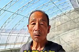 种菜60年，天生冤家蔬菜不要种一起，黄瓜.西红柿.豆角辣椒.苦瓜，看看咋搭配#来抖音学农技 #新农人视频封面