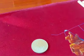 大年初一可以把冰箱擦一擦，收拾干净，冷藏里面找个角落就可以，硬币正反无所谓，把吃饭的碗或者茶碗扣上去，碗上面搭一双筷子。#道家文化 #简单实用 #年头红到年尾视频封面