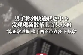 3月27日（采访时间），湖北武汉，#男子称到快递转运中心发现现场散落上百只小鸡，“算正常运损，太多了，根本捡不完！捡了两筐带到乡下去养”（来源：@段小楼）视频封面