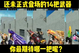 还没有正式登场的14把武器，你最期待哪一把？#穿越火线枪战王者视频封面