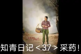 知青日记＜37＞采药！纪念知识青年上山下乡五十周年！视频封面