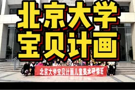 北京大学宝贝计画美术儿童美术老师培训研修班#少儿美术教育视频封面