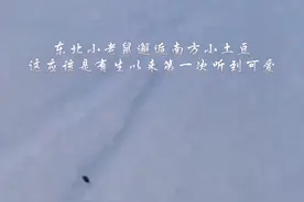 东北小老鼠邂逅南方小土豆，万万没想到会被夸可爱，这从此是要走向巅峰啊#南方小土豆 #南方小土豆勇闯冰雪大世界 #东北小老鼠偶遇南方小土豆视频封面