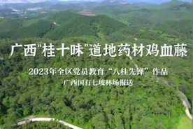 广西"桂十味"道地药材鸡血藤视频封面