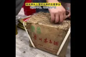朋友昨天从土里挖出来的五星茅台，因储存不当导致损失严重视频封面
