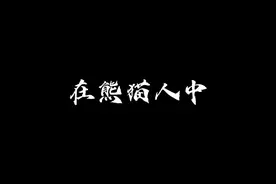 今天我们来聊聊虾仁视频封面