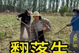 国庆假期回家干农活，又是一年丰收季，春种一粒粟，秋收万颗子，妈妈，弟弟，弟媳妇辛苦了一年，就等这个丰收的时候了，收获的喜悦，只有农村长大的孩子才会懂。 #丰收的季节 #国庆 #勤劳致富靠双手 #记录农村生活 #新农人计划2024视频封面