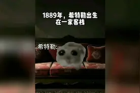 #二战 #meme #历史故事 #猫咪表情包 #科普视频封面