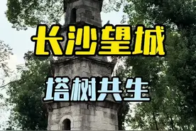 这处奇景，你看过么？#望城惜字塔 #塔树共生的奇观视频封面