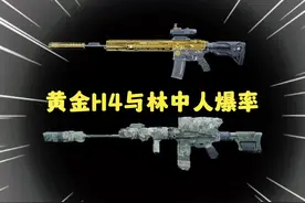 两把热门枪械终于出涂装了 阿帅来测爆率如何#暗区突围视频封面