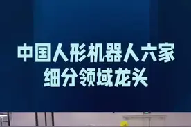 中国人形机器人六家细分领域龙头 #科技创新 #高科技 #制造业 #人工智能 #机器人视频封面