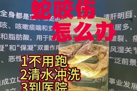 蛇咬伤，不要奔跑，立即用清水冲洗伤口，再到医院。视频封面
