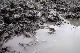黑色尖头长靴踩泥视频封面