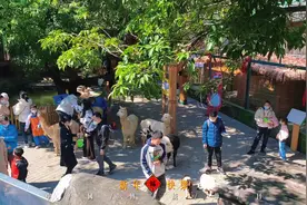 “生活甜甜  好运连连”小窝在这里祝大家新年快乐兔年大吉视频封面
