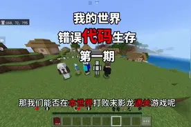 【我的世界】当我们身处在一个错误代码的世界