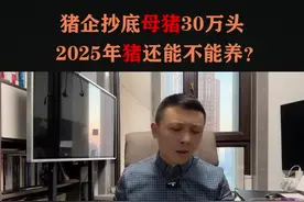 猪企抄底母猪 2025年能不能养猪#猪价#猪价分析#养猪#养猪人#猪价分析视频封面
