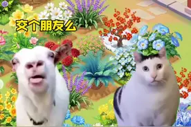 #我的花园世界 #玩游戏送真花 #种花小游戏
