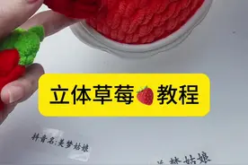 立体草莓钩织教程#钩针教程 #手工鞋 #钩鞋子 #手工 #手工diy视频封面