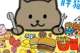 官方出手！胖猫事件迎来新转机，谭竹以爱诈骗实锤，恐负刑事责任视频封面