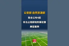 公安部 自然资源部联合公布4起非法占用耕地刑事犯罪典型案例视频封面
