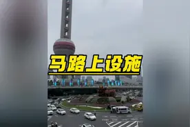 本来以为知识花坛 结婚碰了个硬的#东方明珠 #花坛视频封面