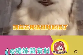 名字是对不上的，歌是全听过的！#歌手2024 #艾薇儿 #亚当 #断眉视频封面